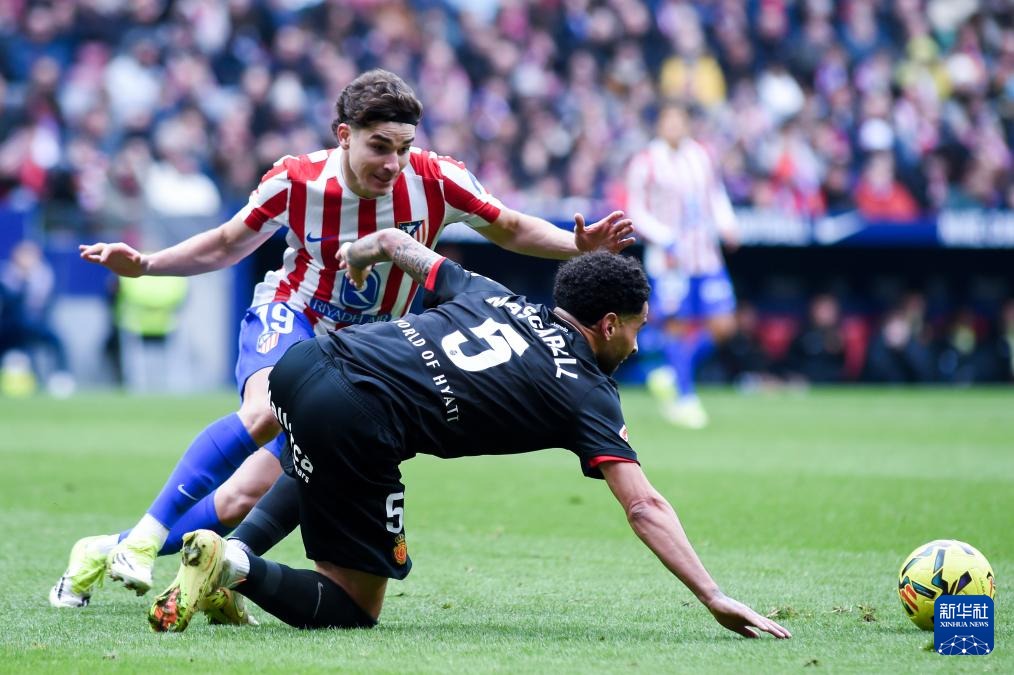 河南省羽毛球协会昌晓秋：借羽毛球星星之火寻找城市内核丨顶端访谈